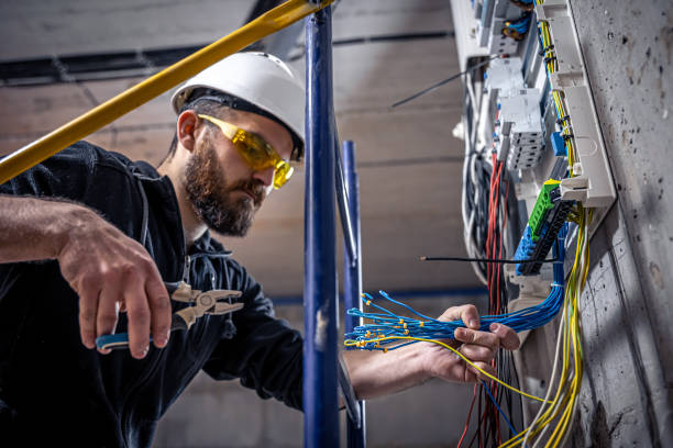 Best Electric Panel Repair  in Walnutport, PA